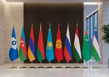Главы МВД стран СНГ соберутся в Душанбе для обсуждения борьбы с преступностью