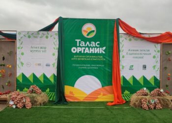 От Таласа до мировых рынков: кыргызстанская органическая продукция выходит на экспорт