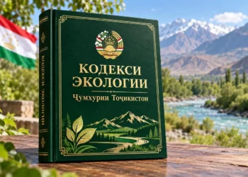 Загрязнил — плати в пять раз больше: в Таджикистане приняли новый Экологический кодекс