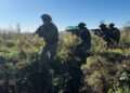 ОДКБ проведёт в Таджикистане масштабные учения спецназа «Кобальт-2026»