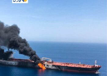 Ормузский пролив под огнём: за две недели атакованы 24 судна