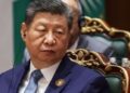 Европа насторожилась после программной речи лидера Китая